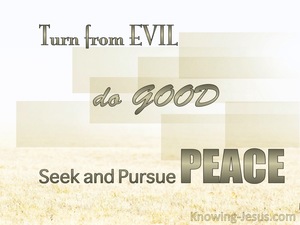 1 Peter 3:11